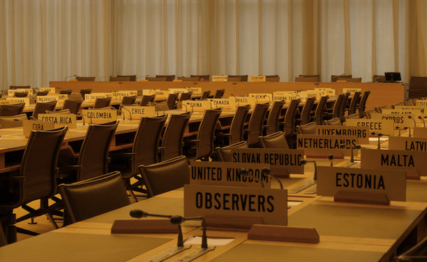 The Walls of the WTO: A film by Ryan S. Jeffery and Quinn Slobodian