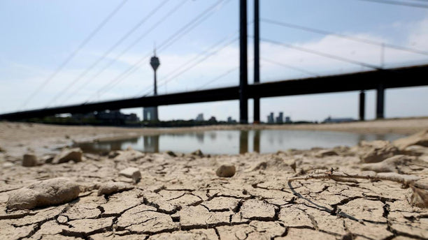 Eco-Fascisms and Eco-Socialisms