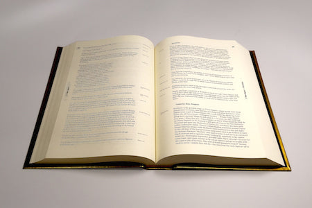 Image for blog post entitled <em>The Gothamist</em> reviews Goldsmith's <em>Capital</em>