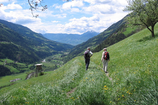 via Wikimedia Commons