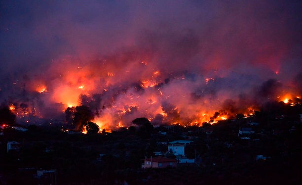 The Deadly Forest Fires in Greece’s Attica Region: A Predictable Tragedy