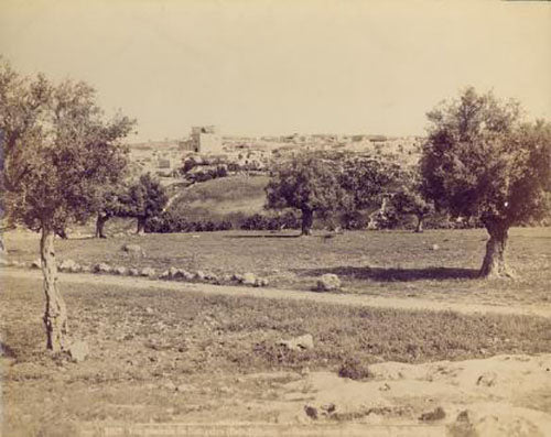 "I grew up dreaming of Beit Jibrin as a paradise." An excerpt from Palestine Speaks