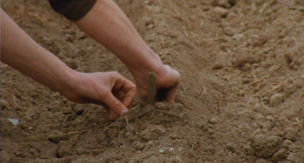 An interview with Ben Russell