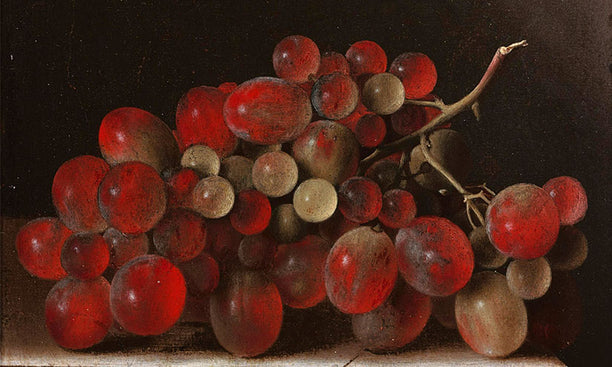 Your favourites: now in paperback!