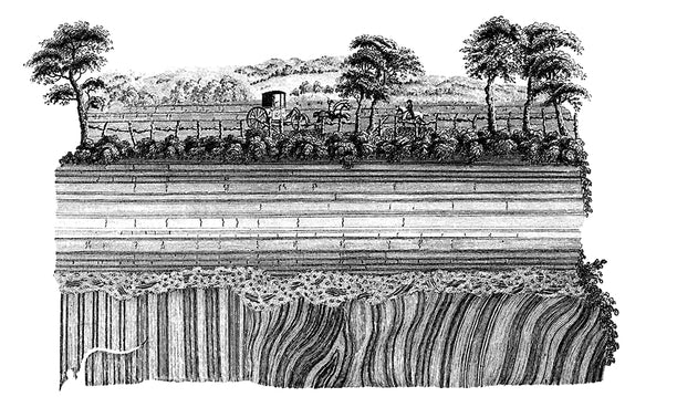 Fredric Jameson: a theory bookshelf