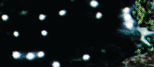 Care Crisis and Care Strike