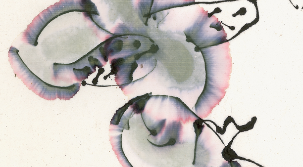 John Berger's reflections upon the death of Mahmoud Darwish