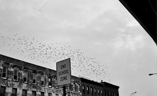 via Theory, Research, and Action in Urban Education.