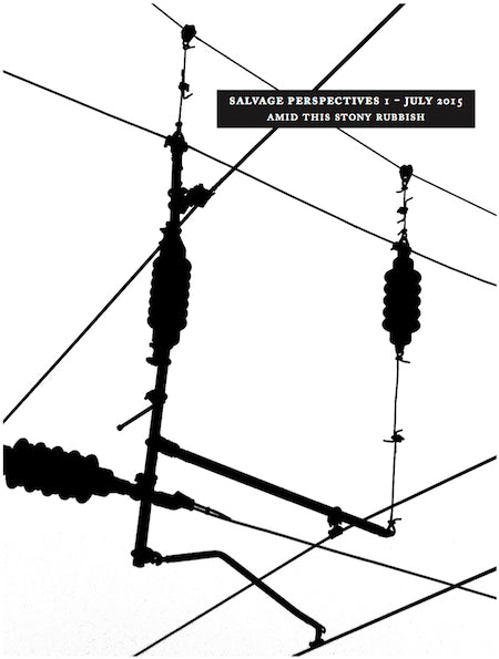 Image for blog post entitled Salvage #1: Amid This Stony Rubbish – introductory essay