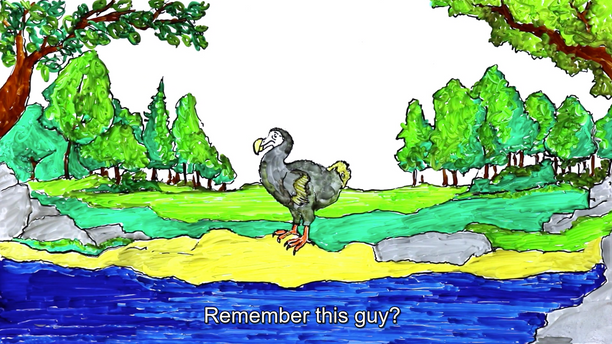 Convivial Conservation