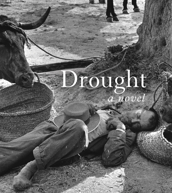 Image for blog post entitled "Scalped to the bone by the heat and drought"—an extract from Ronald Fraser's novel <i>Drought</i>