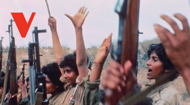 Distributing Films Politically