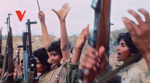 Distributing Films Politically