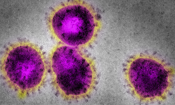 Bifo - Diary of the psycho-deflation #2: “Normality must not return.”