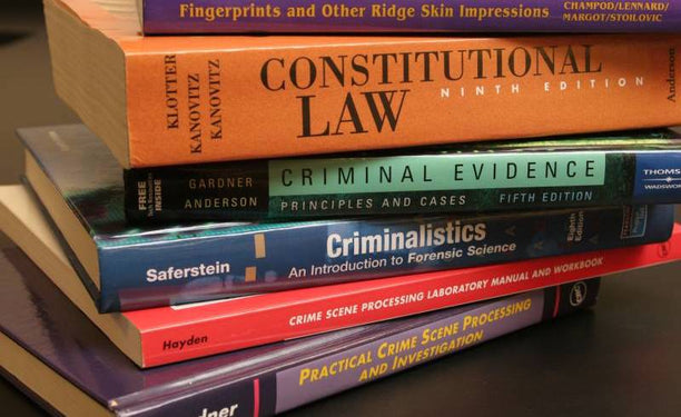 For a Critical Criminology