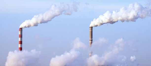 It is time to try out an “ecological Leninism” – Interview with Andreas Malm