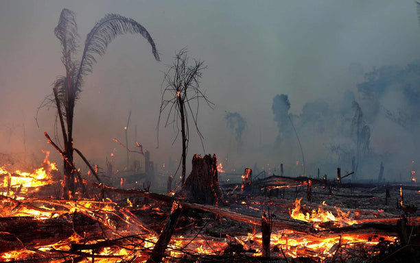 Michael Löwy: among the right-wing governments, Bolsonaro’s is the one with most neo-fascist features