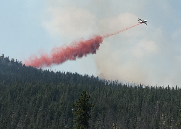 Photo by Ashley Siple