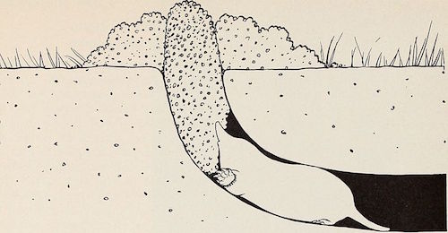 Revolutions: Great and Still and Silent