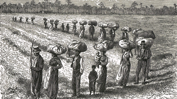 Slavery, Race, and Ideology in the United States of America