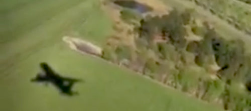 Image for blog post entitled The Landing: Fascists without Fascism