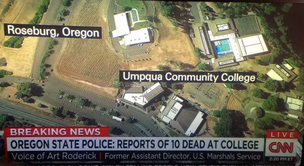 Image for blog post entitled Understanding massacres: Franco Berardi on Gun Violence