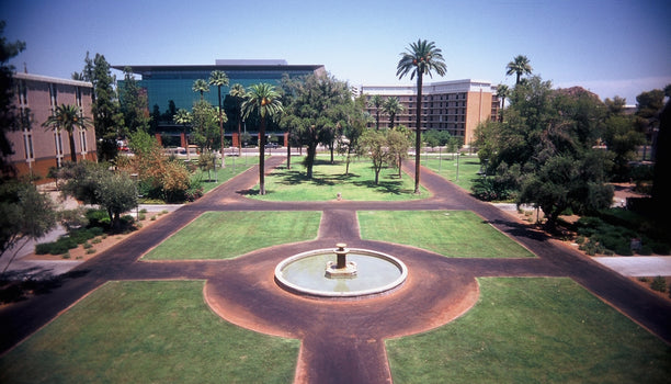 Should We Defend the University? Between Market Constraints and Academic Utopia