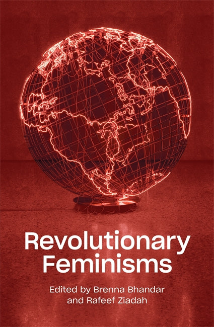 Revolutionary Feminisms: Conversations on Collective Action and