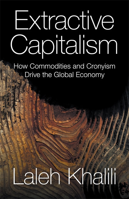 洋書 Natural Capitalism Amazon.com: Natural Capitalism: The Next Industrial Revolution