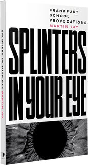 Cover of “Splinters in Your Eye: Frankfurt School Provocations”