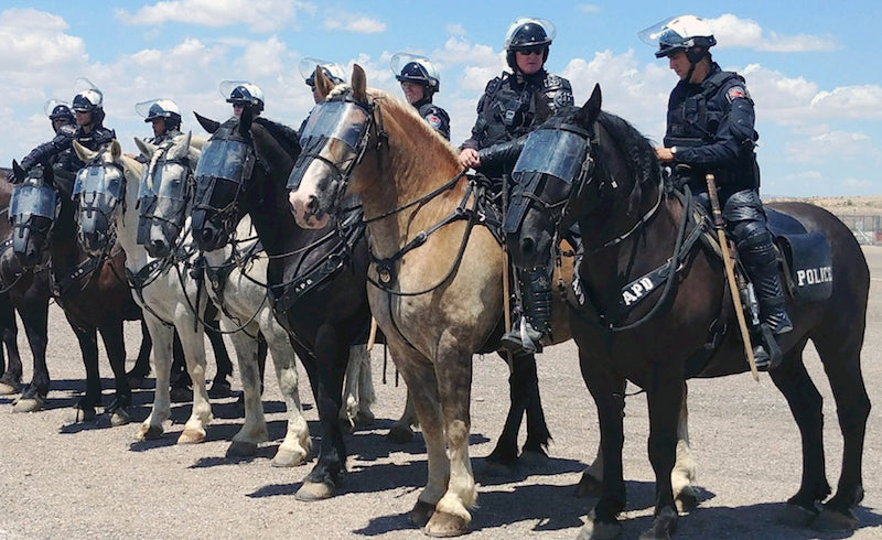 The Albuquerque Police Department's Mounted Patrol participates in riot control exercises. 