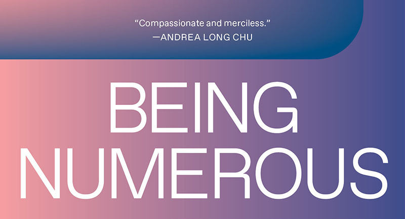 Numerous Examples 40% off Being Numerous & Verso Books