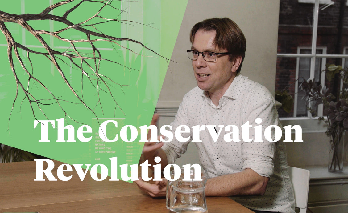 The Conservation Revolution: Radical Ideas for Saving Nature Beyond the Anthropocene | Bram Büscher