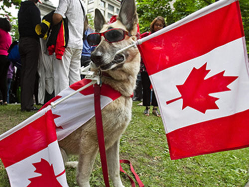 Image for blog post entitled Canada we're here for you! 50% off EVERYTHING just for our Canadian readers