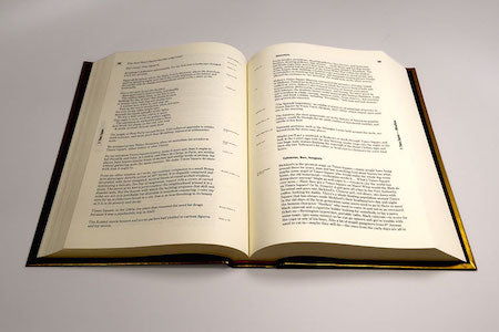 Image for blog post entitled <em>The Financial Times</em> reviews <em>Capital</em>: "a book to get lost in for hours"