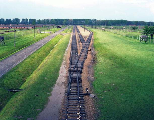 Image for blog post entitled <i>In My Mother's Footsteps</i> by Yishay Garbasz