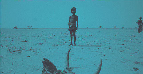 Image for blog post entitled Late Victorian Holocausts: The Origins of the Third World