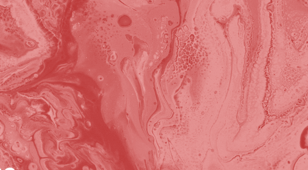 An Interview with Vivian Gornick