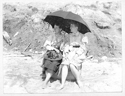 Image for blog post entitled Rebel Crossings: New Women, Free Lovers, and Radicals in Britain and the United States