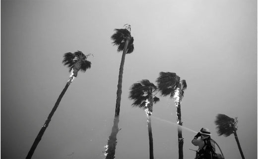 The Fire Boom | Mike Davis