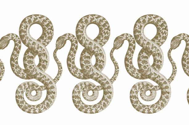 Politics Theory Other: Why capitalism is not 'an economy' with Nancy Fraser