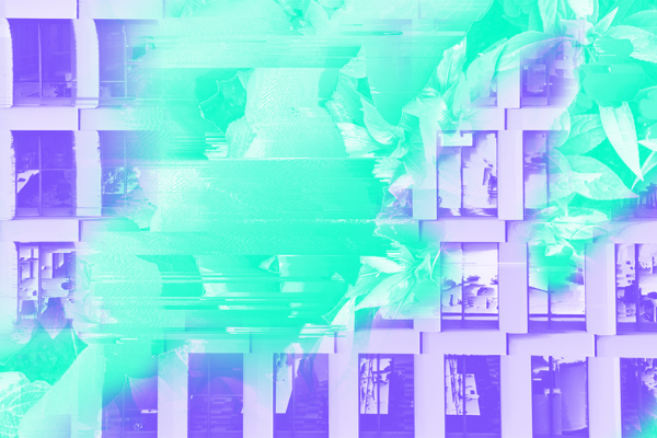 Verso x The World Transformed 2020