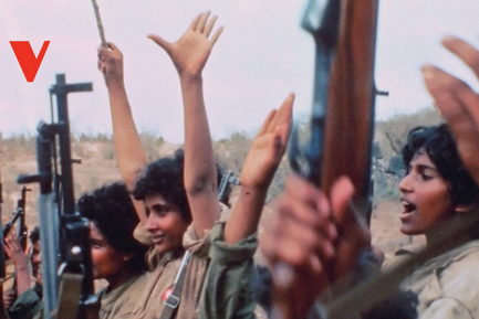 Distributing Films Politically