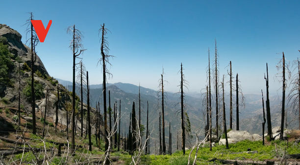 Where is the U.S. climate movement?