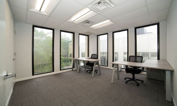 Politics Theory Other #103 Rentier Capitalism: Who Owns the Economy