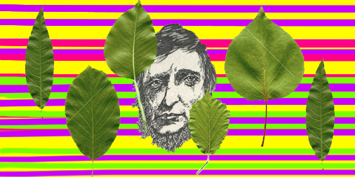 Against Everything: Thoreau Trailer Park