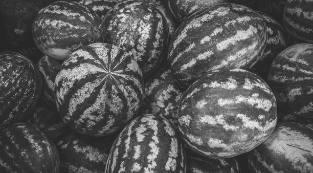 Étienne Balibar on Gaza