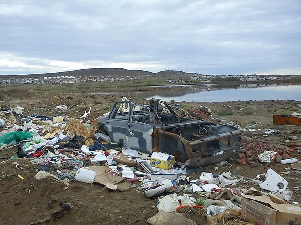 Forget Eco-Modernism