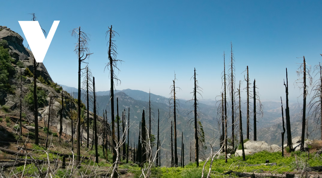Where is the U.S. climate movement?