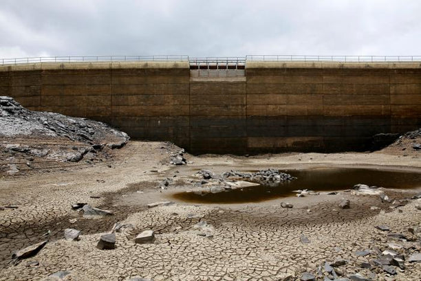 Capitalism's Organic Crisis